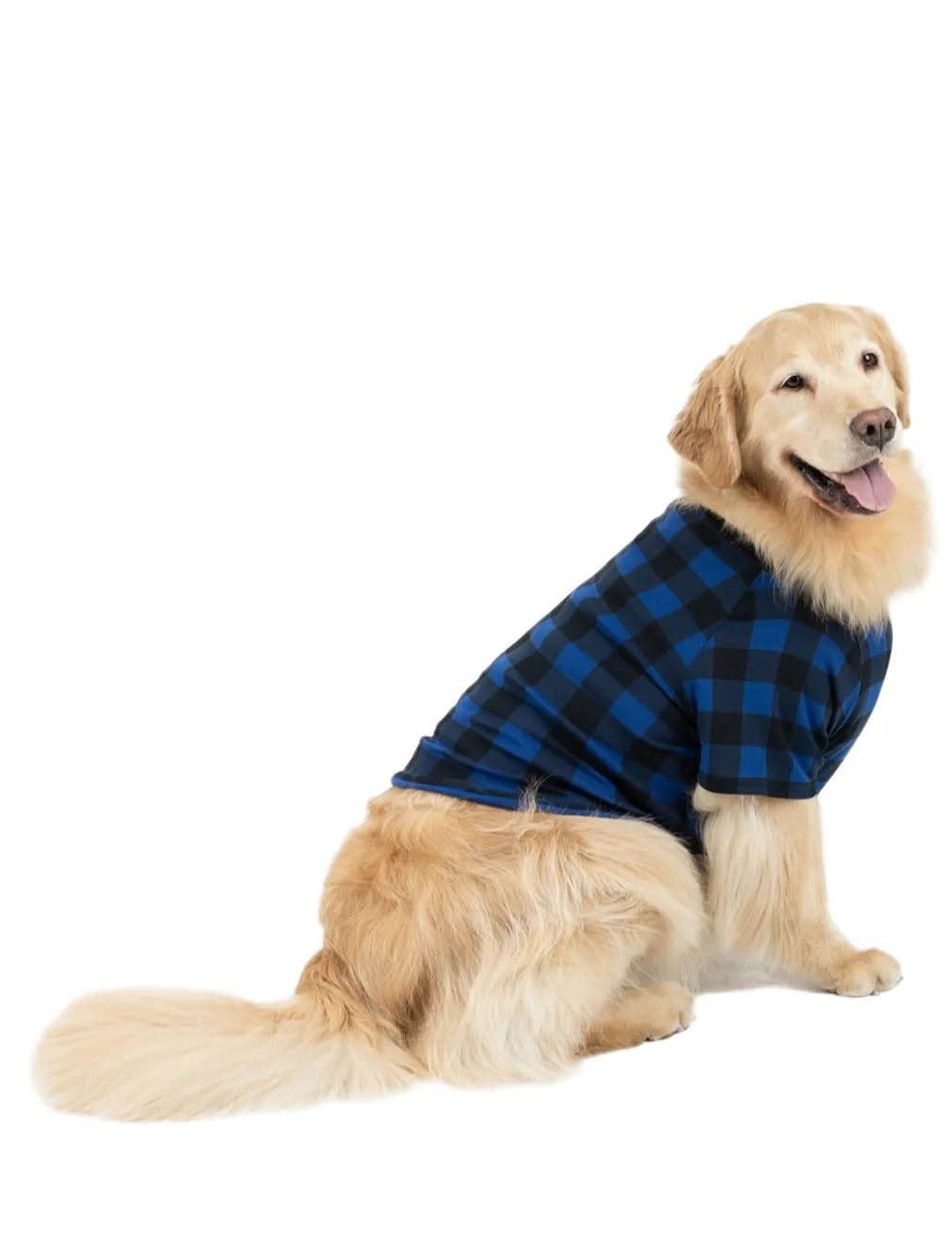 Big Dog Plaid Pajamas