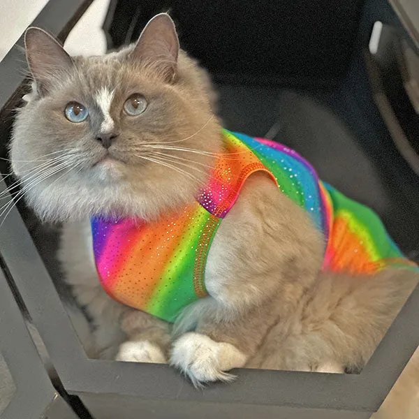 Cats - Cooling Sun Shirt with UPF50   Rainbow